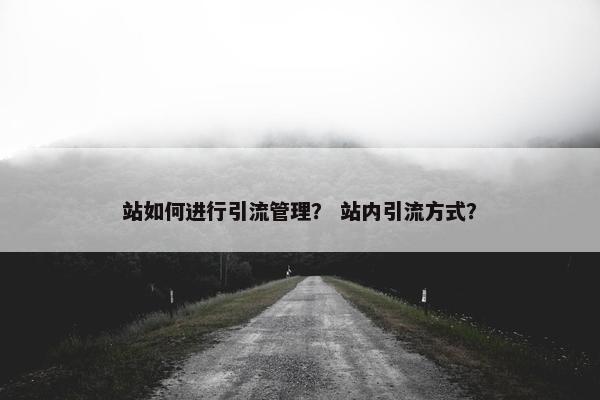 站如何进行引流管理？ 站内引流方式？
