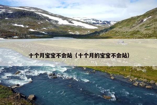 十个月宝宝不会站（十个月的宝宝不会站）