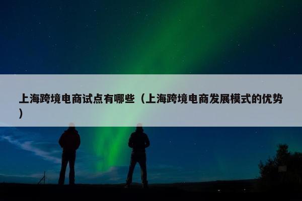 上海跨境电商试点有哪些（上海跨境电商发展模式的优势）