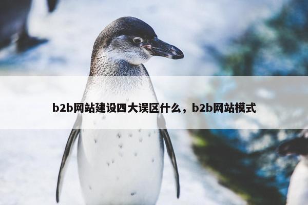 b2b网站建设四大误区什么，b2b网站模式