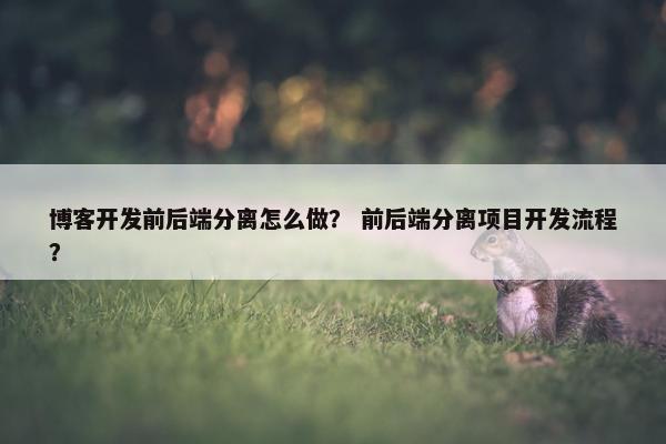 博客开发前后端分离怎么做？ 前后端分离项目开发流程？