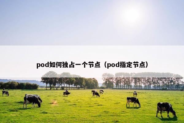 pod如何独占一个节点（pod指定节点）