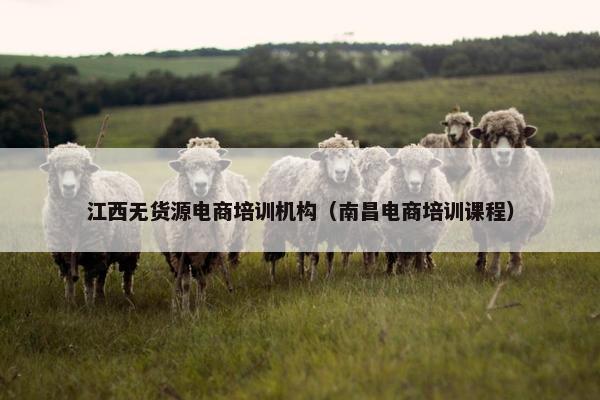 江西无货源电商培训机构（南昌电商培训课程）