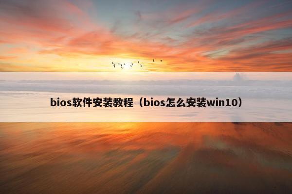 bios软件安装教程（bios怎么安装win10）