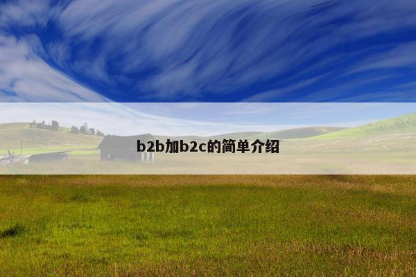 b2b加b2c的简单介绍