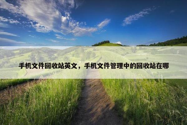 手机文件回收站英文，手机文件管理中的回收站在哪