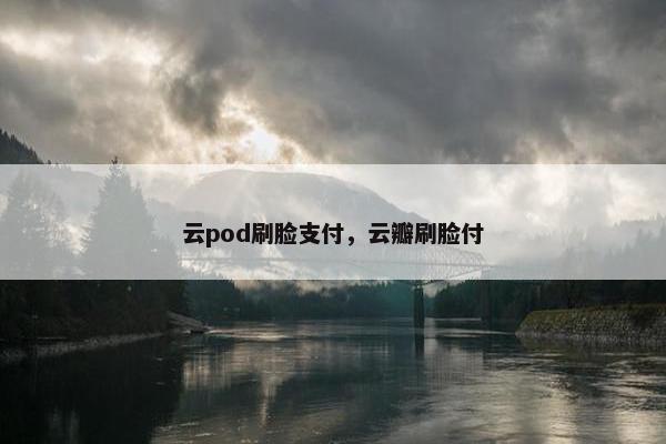 云pod刷脸支付,云瓣刷脸付