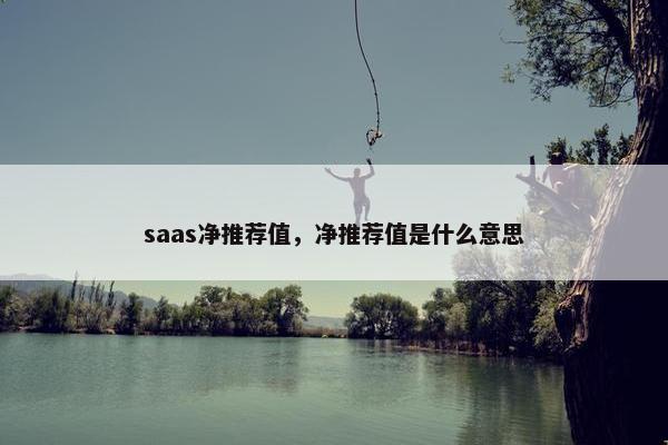 saas净推荐值，净推荐值是什么意思