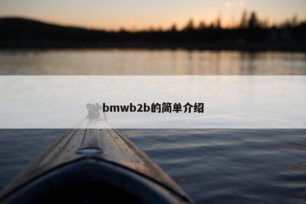 bmwb2b的简单介绍