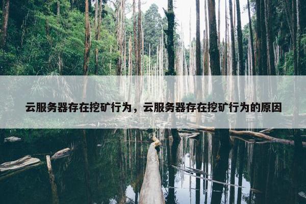 云服务器存在挖矿行为，云服务器存在挖矿行为的原因