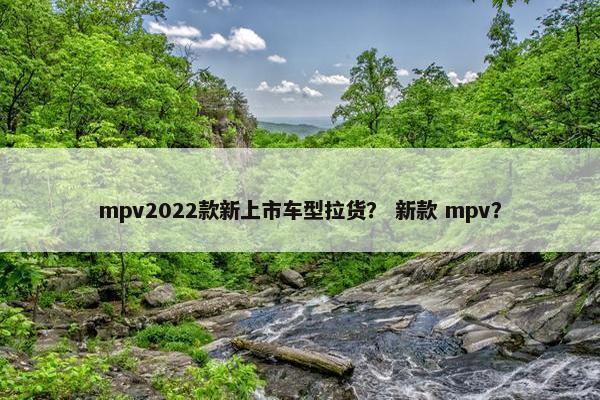 mpv2022款新上市车型拉货？ 新款 mpv？