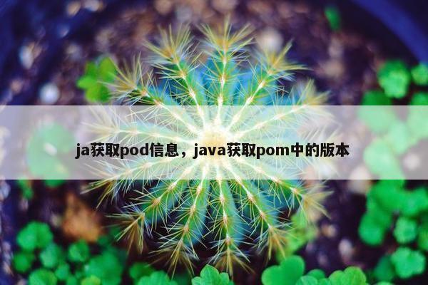 ja获取pod信息，java获取pom中的版本