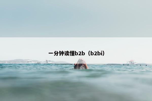 一分钟读懂b2b（b2bi）