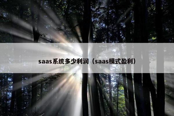 saas系统多少利润(saas模式盈利) saas系统多少利润(saas模式盈利)