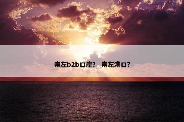 崇左b2b口岸？ 崇左港口？
