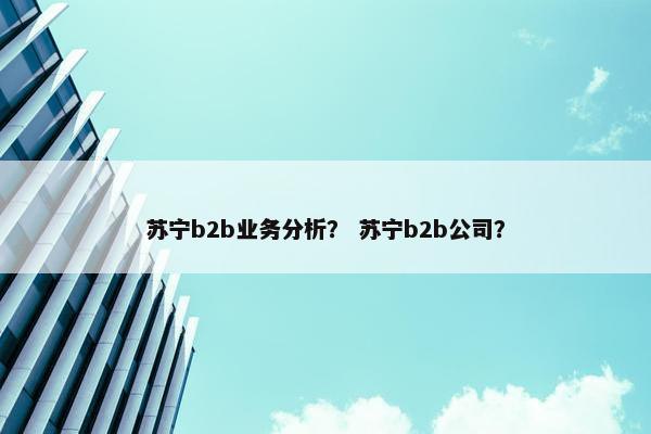 苏宁b2b业务分析？ 苏宁b2b公司？