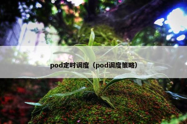 pod定时调度（pod调度策略）