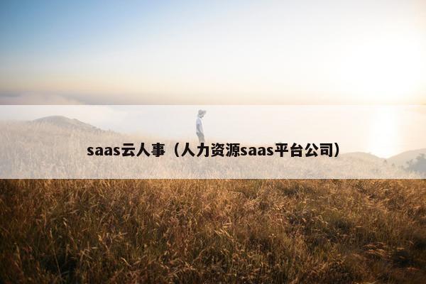 saas云人事（人力资源saas平台公司）
