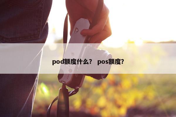 pod额度什么？ pos额度？