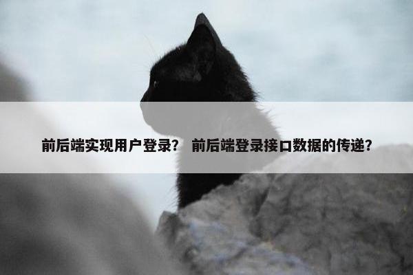 前后端实现用户登录？ 前后端登录接口数据的传递？