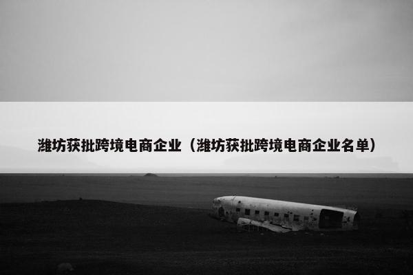 潍坊获批跨境电商企业（潍坊获批跨境电商企业名单）