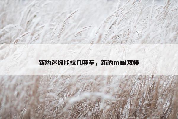 新豹迷你能拉几吨车，新豹mini双排