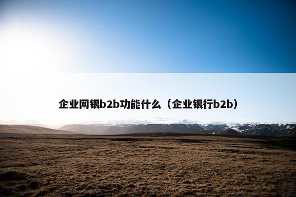 企业网银b2b功能什么（企业银行b2b）