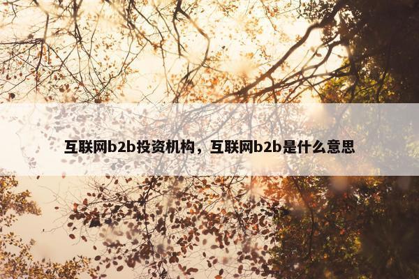 互联网b2b投资机构，互联网b2b是什么意思