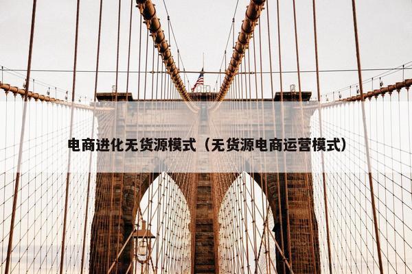 电商进化无货源模式（无货源电商运营模式）