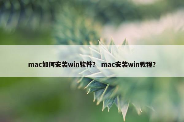 mac如何安装win软件？ mac安装win教程？