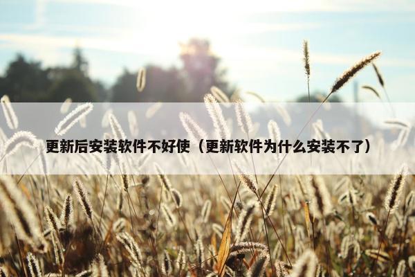 更新后安装软件不好使（更新软件为什么安装不了）