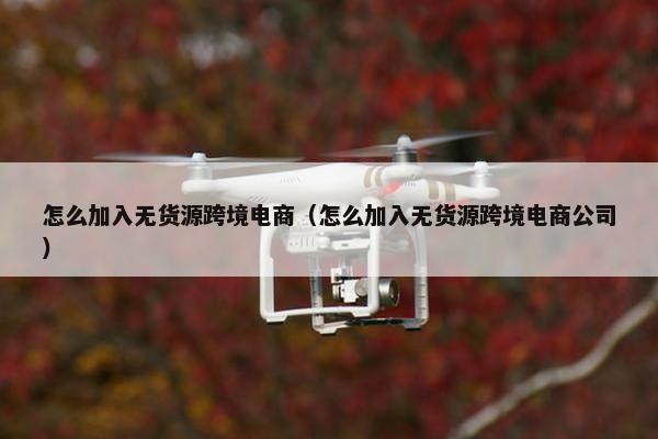 怎么加入无货源跨境电商（怎么加入无货源跨境电商公司）