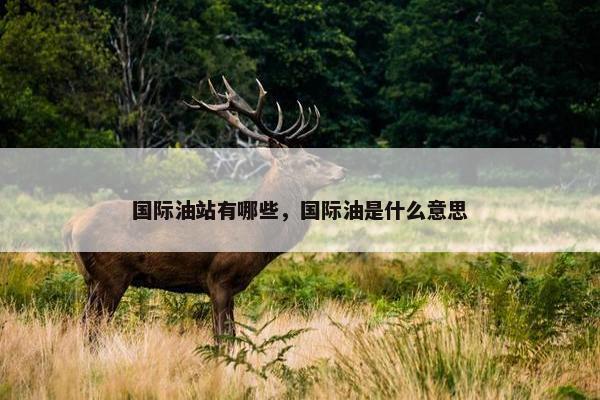 国际油站有哪些，国际油是什么意思