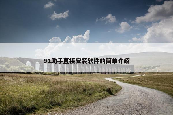 91助手直接安装软件的简单介绍