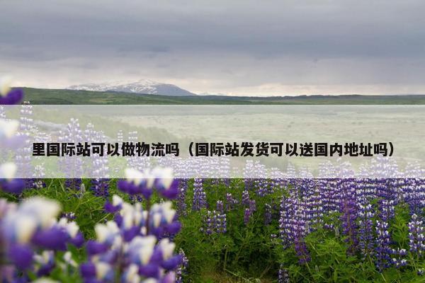 里国际站可以做物流吗（国际站发货可以送国内地址吗）