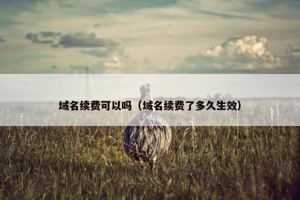 域名续费可以吗（域名续费了多久生效）