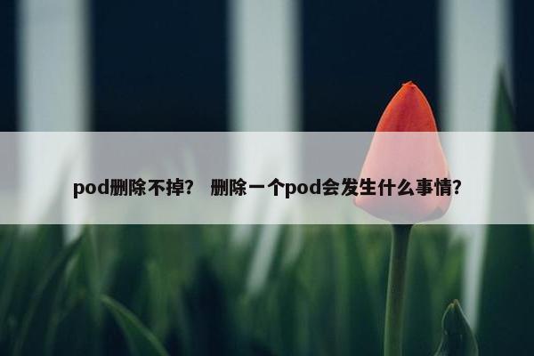 pod删除不掉？ 删除一个pod会发生什么事情？