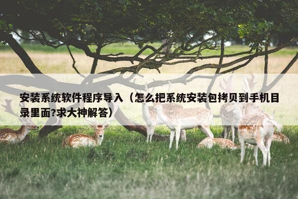 安装系统软件程序导入（怎么把系统安装包拷贝到手机目录里面?求大神解答）