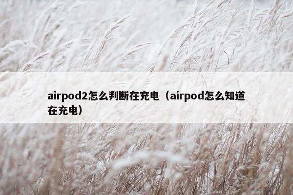 airpod2怎么判断在充电（airpod怎么知道在充电）