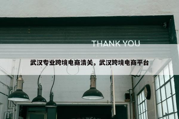 武汉专业跨境电商清关，武汉跨境电商平台