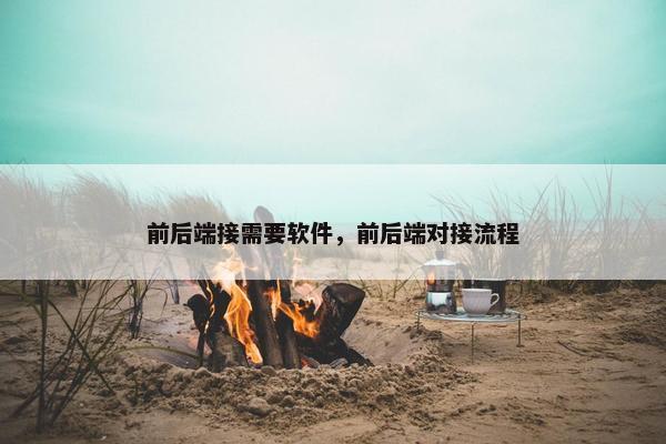 前后端接需要软件，前后端对接流程