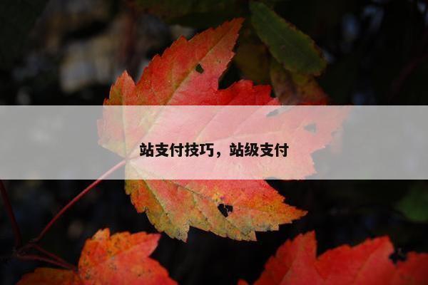 站支付技巧，站级支付