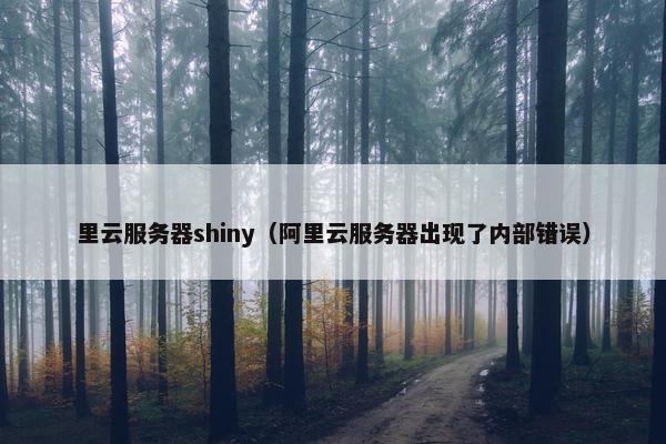里云服务器shiny（阿里云服务器出现了内部错误）