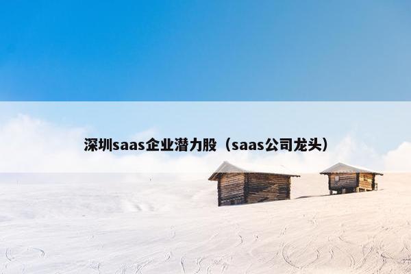 深圳saas企业潜力股（saas公司龙头）