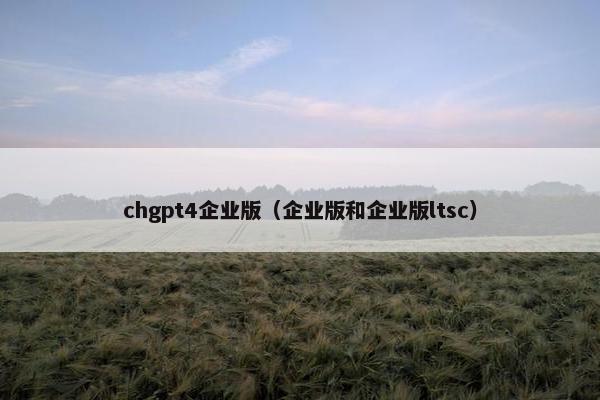 chgpt4企业版（企业版和企业版ltsc）