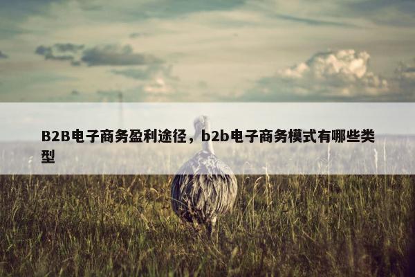 B2B电子商务盈利途径，b2b电子商务模式有哪些类型
