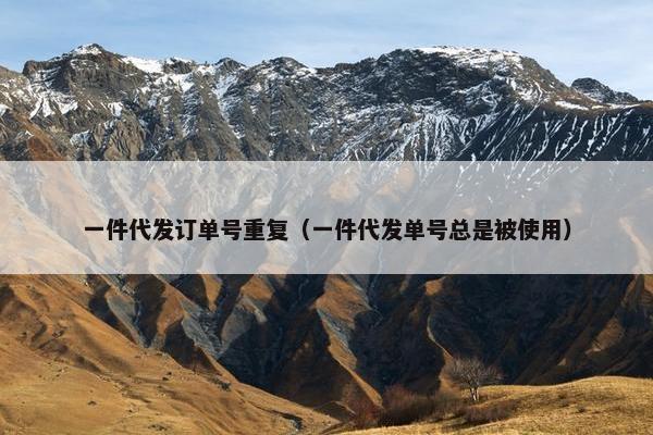 一件代发订单号重复(一件代发单号总是被使用) 一件代发订单号重复(一件代发单号总是被使用)