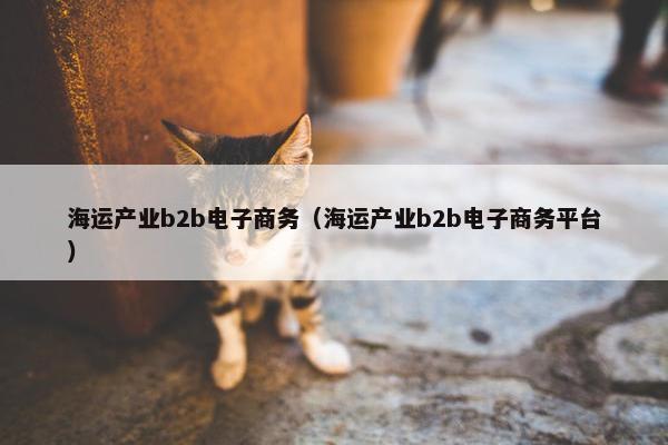 海运产业b2b电子商务（海运产业b2b电子商务平台）
