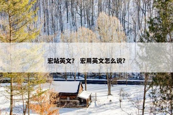 宏站英文？ 宏用英文怎么说？