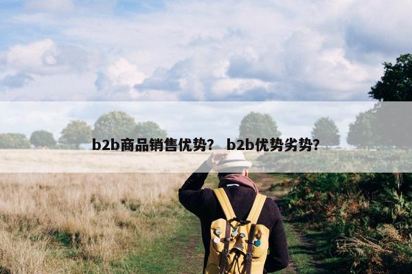 b2b商品销售优势？ b2b优势劣势？